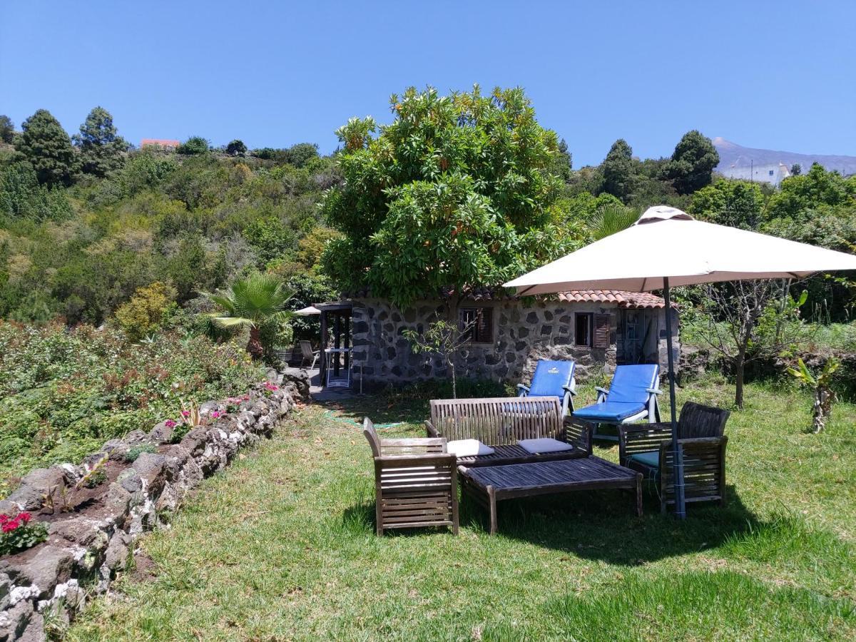 Finca Cueva Del Viento Icod De Los Vinos Esterno foto