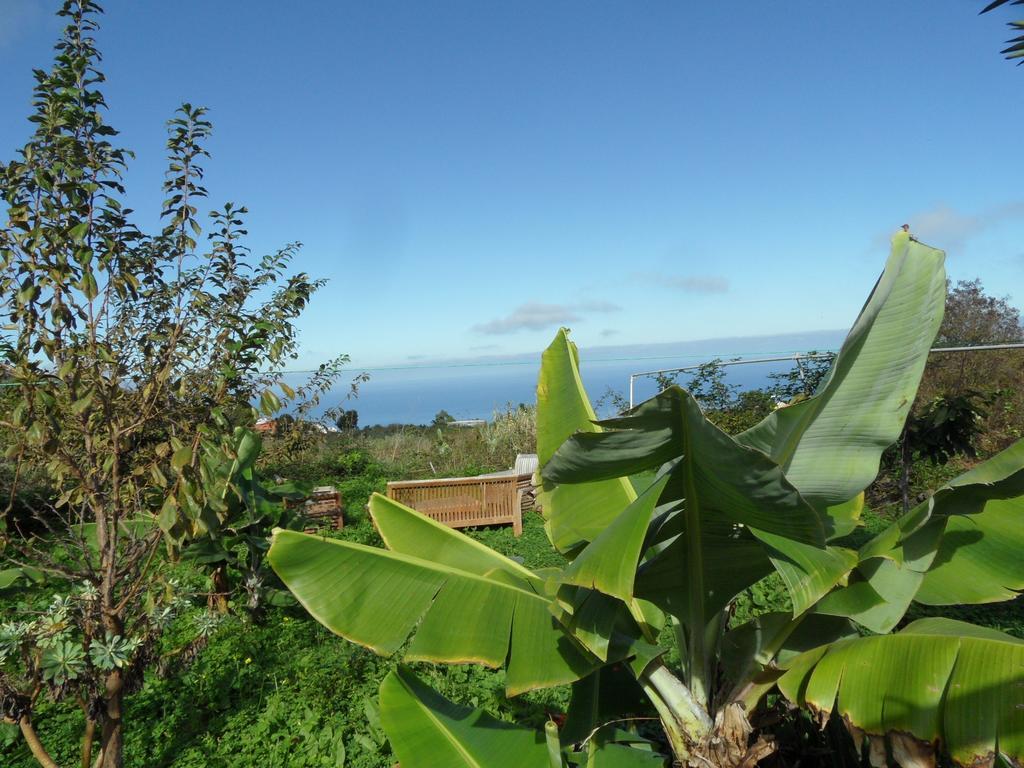 Finca Cueva Del Viento Icod De Los Vinos Camera foto
