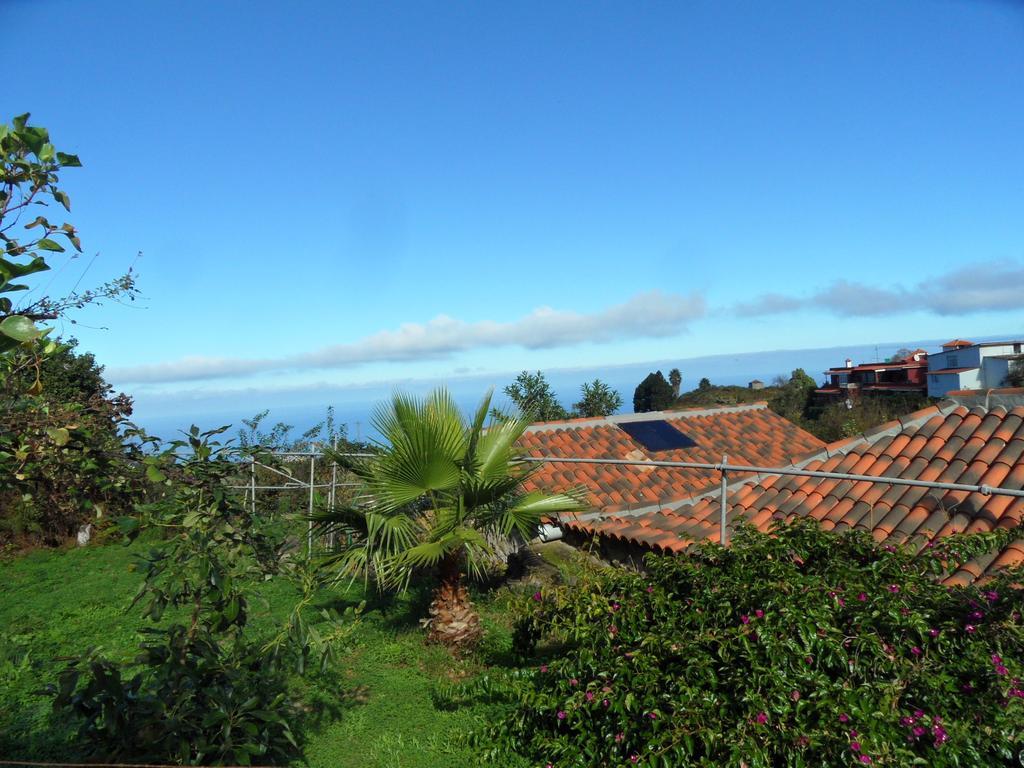 Finca Cueva Del Viento Icod De Los Vinos Camera foto